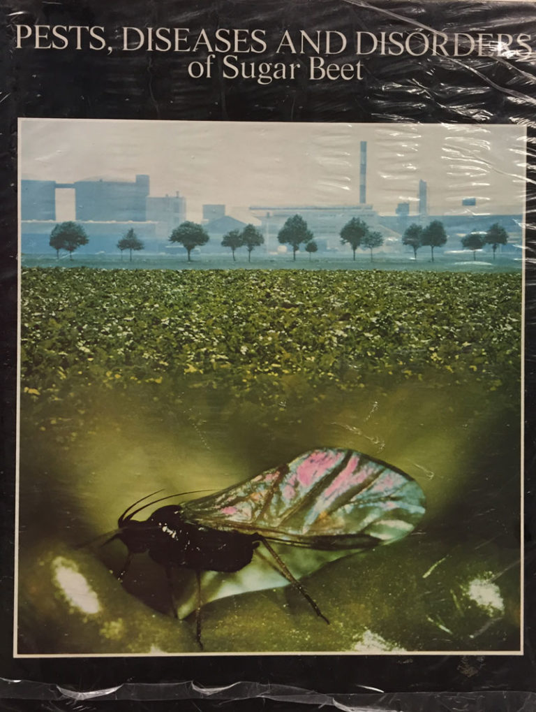 Pests, Diseases and Disorders of Sugar Beet Pests, Diseases and Disorders of Sugar Beet